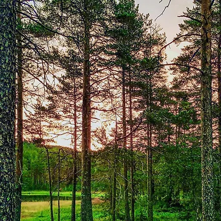 Lovely In With Sauna Дом отдыха