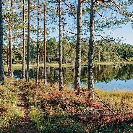 Lovely In With Sauna Дом отдыха Vegarshei