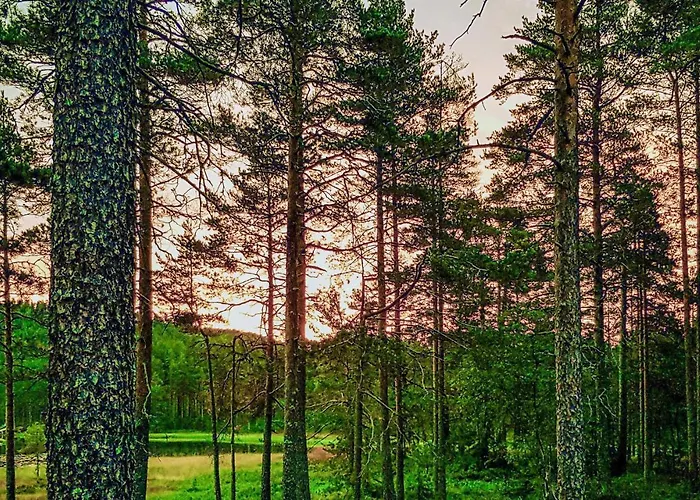 Lovely In With Sauna Дом отдыха