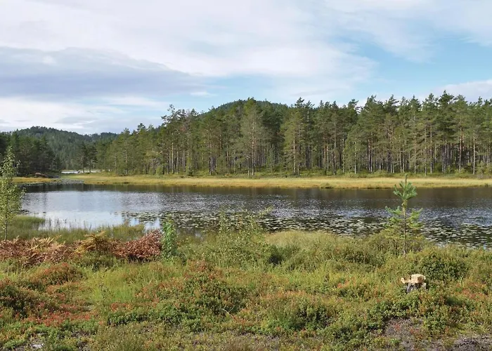 Lovely In With Sauna Vegårshei