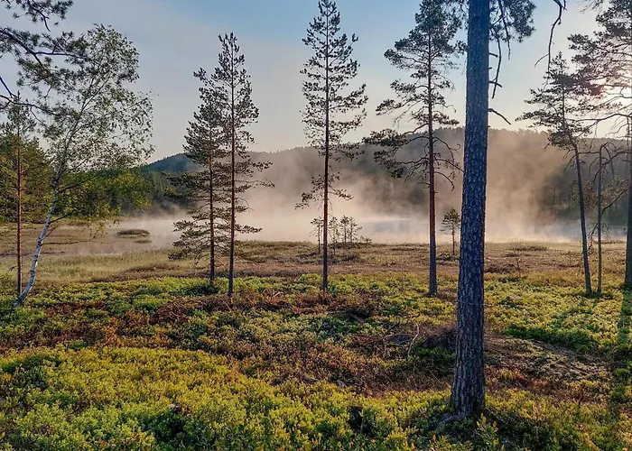Lovely In With Sauna Feriehus
