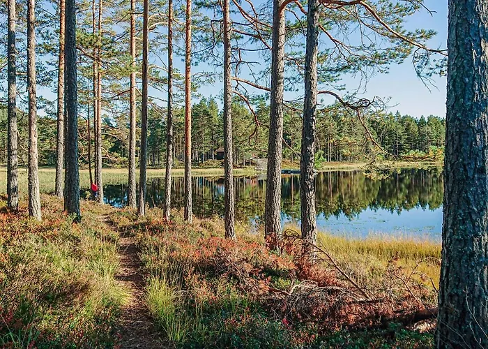 Lovely In With Sauna Feriehus Vegårshei